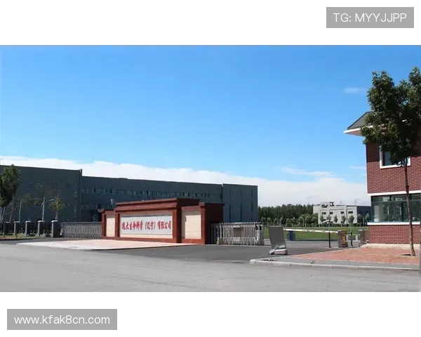 天生赢家一触即发凯发：提升团队合作能力实现集体胜利的实用建议